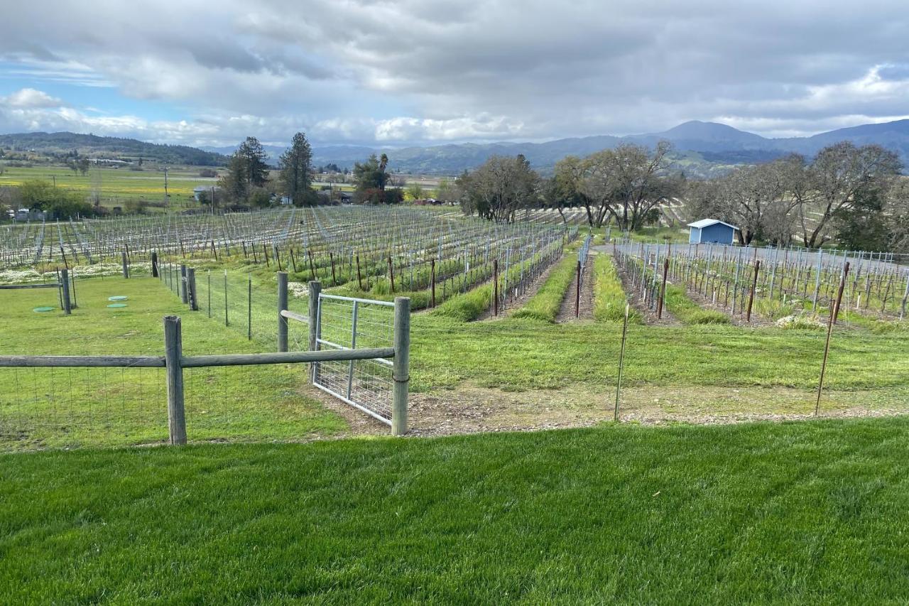 Alexander Valley Retreat Healdsburg Ngoại thất bức ảnh