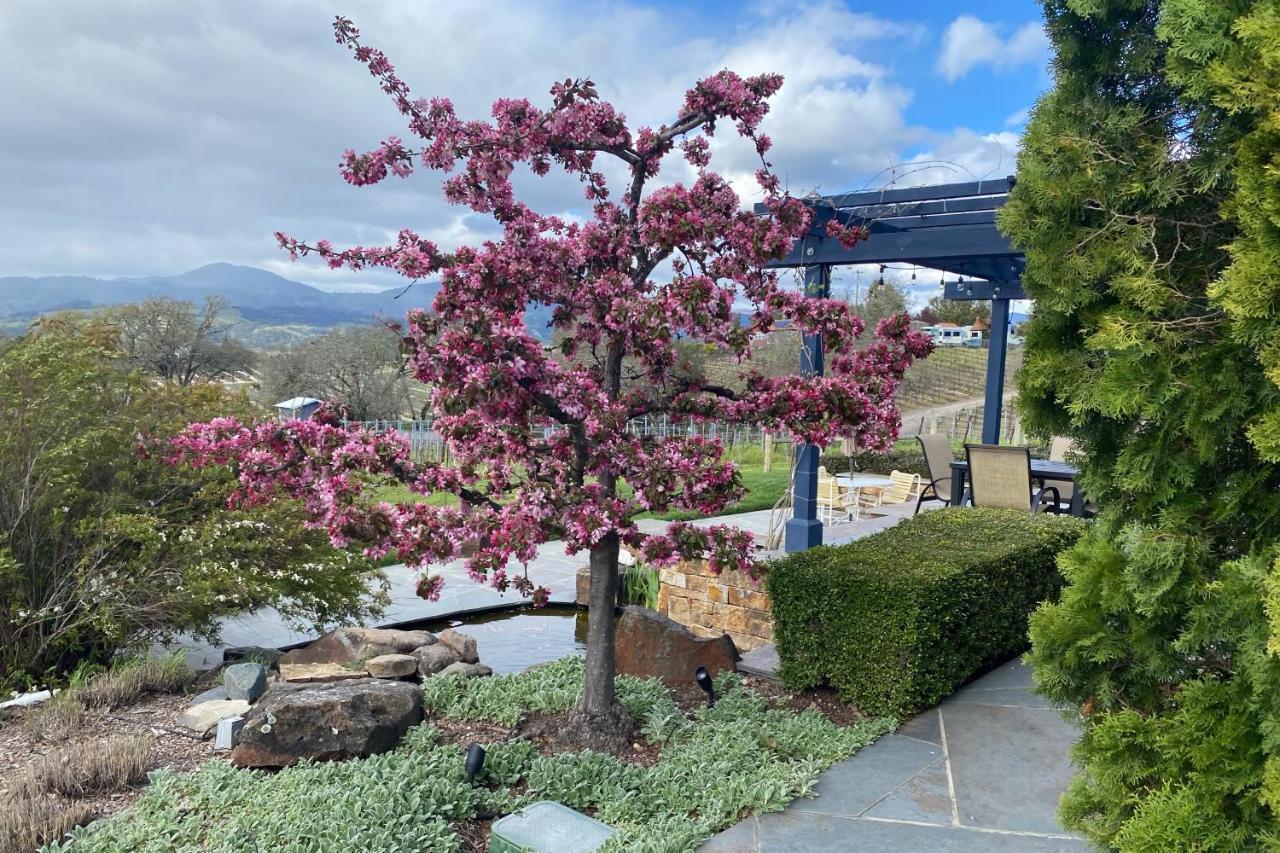 Alexander Valley Retreat Healdsburg Ngoại thất bức ảnh