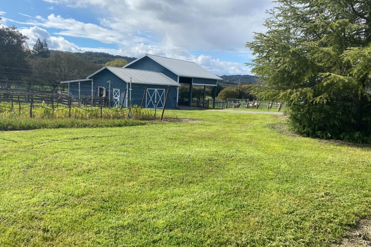 Alexander Valley Retreat Healdsburg Ngoại thất bức ảnh